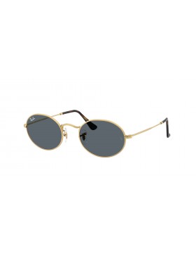  RAY BAN  